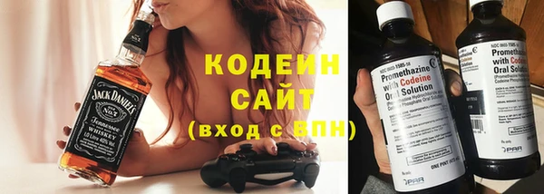хмурый Алзамай