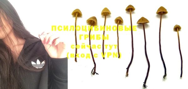 каннабис Алексин