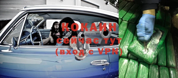 хмурый Алзамай