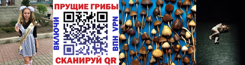 Псилоцибиновые грибы Cubensis  kraken зеркало  Игра 